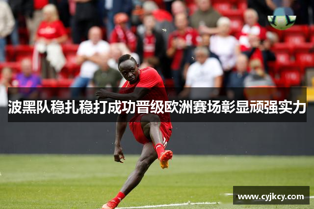 波黑队稳扎稳打成功晋级欧洲赛场彰显顽强实力