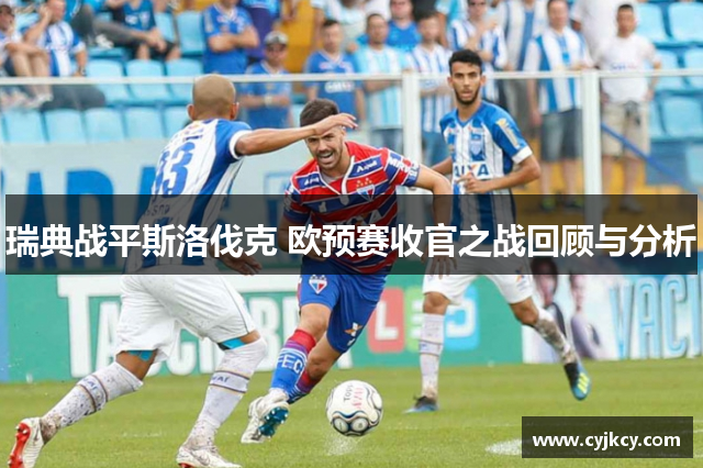 瑞典战平斯洛伐克 欧预赛收官之战回顾与分析