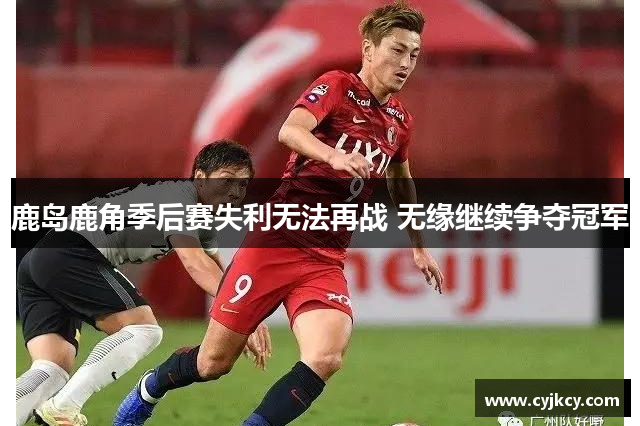 鹿岛鹿角季后赛失利无法再战 无缘继续争夺冠军