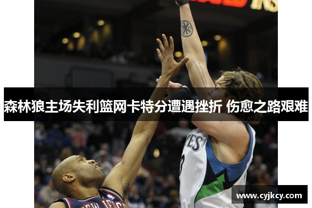 森林狼主场失利篮网卡特分遭遇挫折 伤愈之路艰难