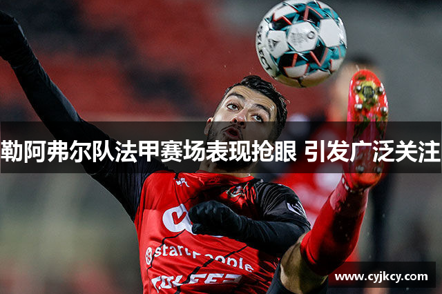 勒阿弗尔队法甲赛场表现抢眼 引发广泛关注