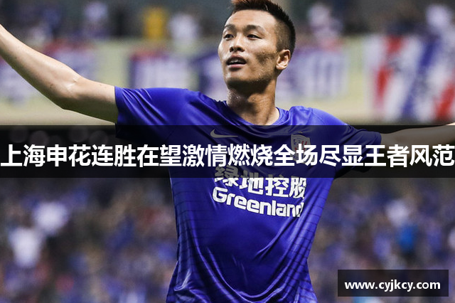 上海申花连胜在望激情燃烧全场尽显王者风范