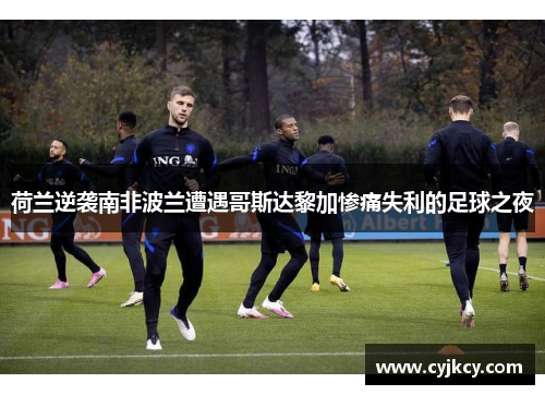 荷兰逆袭南非波兰遭遇哥斯达黎加惨痛失利的足球之夜