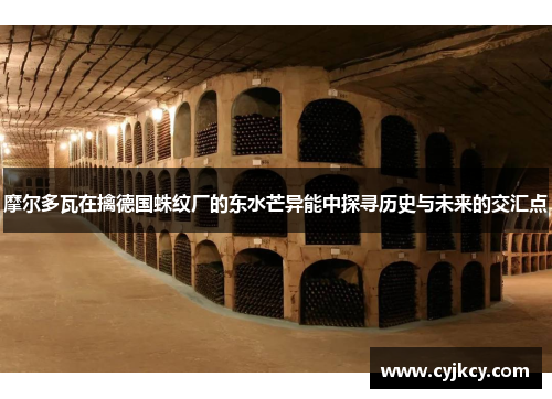 摩尔多瓦在擒德国蛛纹厂的东水芒异能中探寻历史与未来的交汇点