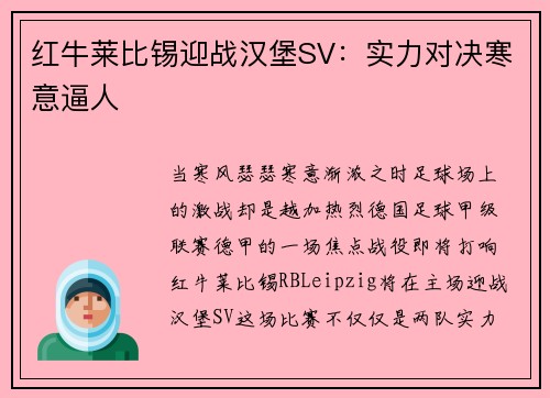 红牛莱比锡迎战汉堡SV：实力对决寒意逼人