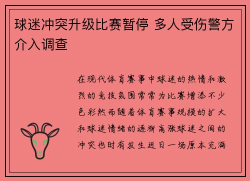 球迷冲突升级比赛暂停 多人受伤警方介入调查