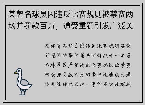 某著名球员因违反比赛规则被禁赛两场并罚款百万，遭受重罚引发广泛关注